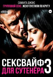 Icon image Групповой секс. Жену пустили по кругу. Сексвайф для сутенера 3