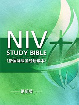 Icon image