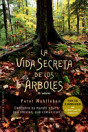 Imagen en miniatura