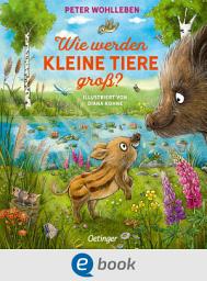 Icon image Wie werden kleine Tiere groß?: Süß illustriertes Pappbilderbuch für Kinder ab 2 Jahren mit einer spannenden Entdeckungsreise in die Welt der Tierkinder