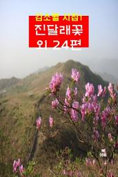Icon image 김소월 시집1_ 진달래꽃 외 24편