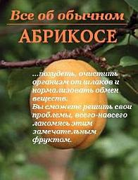 Icon image Все об обычном абрикосе