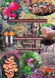 Icon image Грибы. Большая энциклопедия. 760 видов. Том III. С No509 по No760