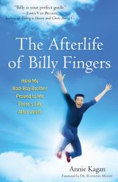 Icon image The Afterlife of Billy Fingers: How My Bad-Boy Brother Proved to Me There's Life After Death