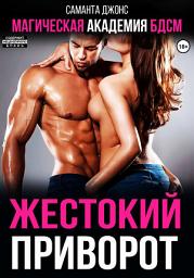 Icon image Магическая академия БДСМ. Жестокий приворот