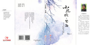 Icon image 小花校 竖海: 李琳散文小说集