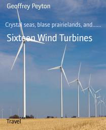 Icon image Sixteen Wind Turbines: Crystal seas, blase prairielands, and......