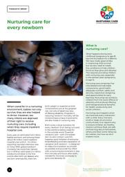 Icon image Nurturing care for every newborn: thematic brief
