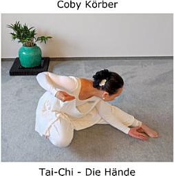 Icon image Tai-Chi - Die Hände: Wir denken, weil wir Hände haben