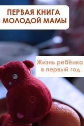 Icon image Жизнь ребёнка в первый год