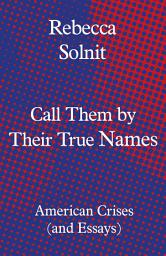 Icon image Call Them by Their True Names: American Crises (and Essays)