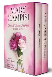 Icon image Small Town Perfect Boxed Set 1