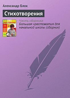 Icon image