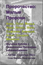 Icon image Пророчество: Малые Пророки: Амос, Осия, Михей, Наум, Иоиль, Иона, Софония, Аввакум, Аггей, Захария, Малахия (P4-Rus)