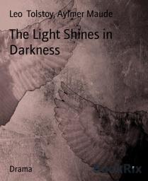 Icon image The Light Shines in Darkness
