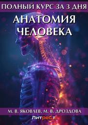 Icon image Полный курс за 3 дня. Анатомия человека