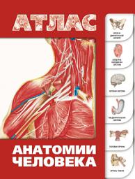 Icon image Атлас анатомии человека