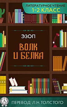 Icon image