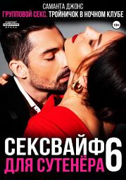 Icon image Групповой секс. Тройничок в ночном клубе. Сексвайф для сутенера 6