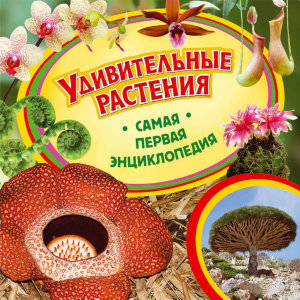 Icon image