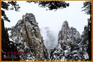 Icon image 黃山雪景攝影集