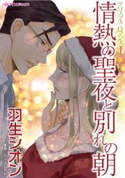 Icon image 情熱の聖夜と別れの朝: ひと目で心奪われて