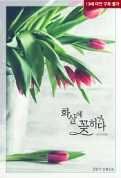 Icon image 화살에 꽂히다