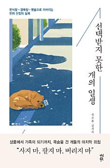 Icon image