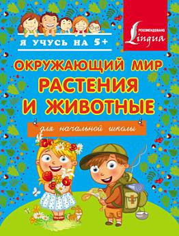 Icon image