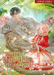 Icon image 얼떨결에 발정난 야수를 길들여 버렸다 1권