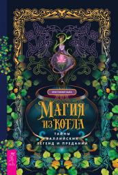 Icon image Магия из котла: тайны валлийских легенд и преданий