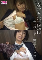 Icon image 女子〇生尾行エレベーター痴漢わいせつ