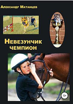 Icon image