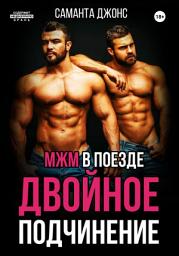 Icon image МЖМ в поезде. Двойное Подчинение