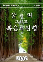Icon image 물과 피 그리고 복음의 원형: 요한서신서 강해설교
